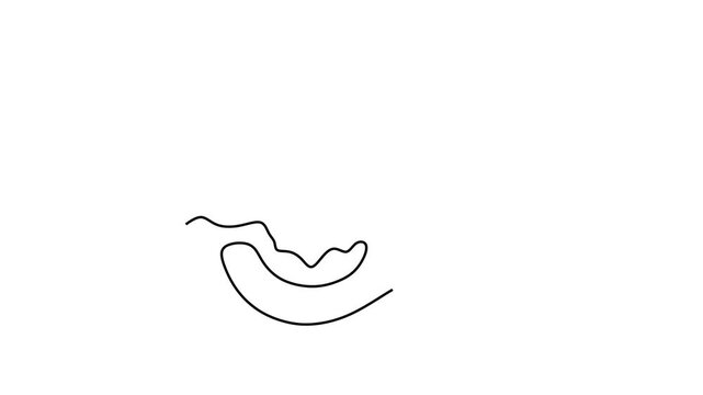 Animated self drawing of continuous line draw.  Kiwi Fruit Illustration Single-Line Art with Slice. Full length one line animation. 4K	