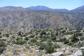 Steile Schluchten am Cahuilla Téewwenet Vista Point © Jürgen Reitz