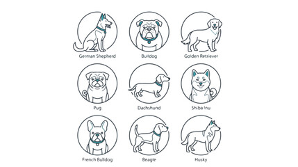 Fototapeta premium Flat lay illustration of various cartoon dog breeds in circular portraits on a white background