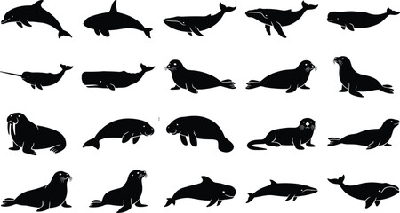 Marine mammals black silhouette vector set with dolphin, orca, whale, seal, sea lion, walrus, narwhal, manatee, and dugong silhouettes © Nurjahan