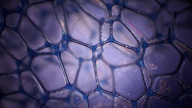 Microscopic view of blue synthetic polyurethane foam structure, abstract cellular background