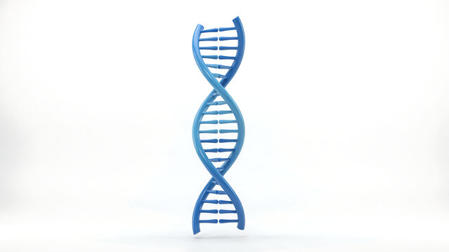 Blue DNA helix model representing genetics and biotechnology with genetics