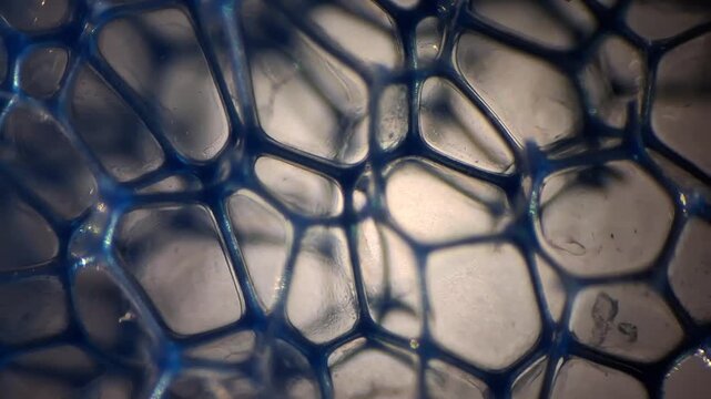 Microscopic view of blue synthetic polyurethane foam structure, abstract cellular background
