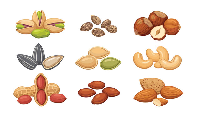 Edible nuts and healthy seeds vector cartoon collection . Almonds, pistachios, hazelnuts, cashews, peanuts, organic snack food elements .