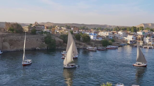 Scenic view of Nile River at Aswan, Egypt, with traditional felucca sailboats and tourist ferries, Elephantine Island village, palm trees and sandy desert hills in background. Timelapse