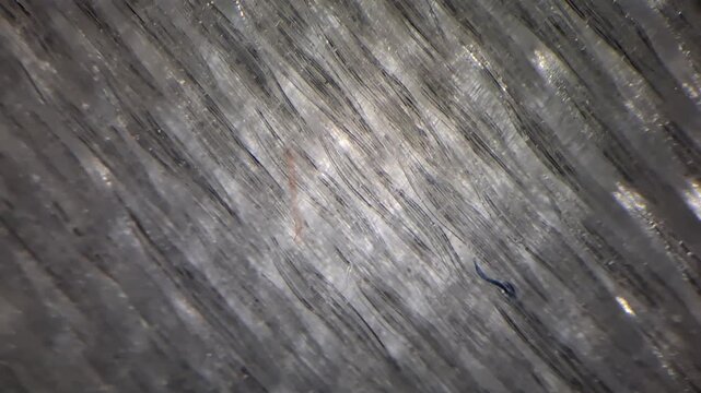Microscopic view of synthetic t-shirt fabric texture with fibers and dust particles 