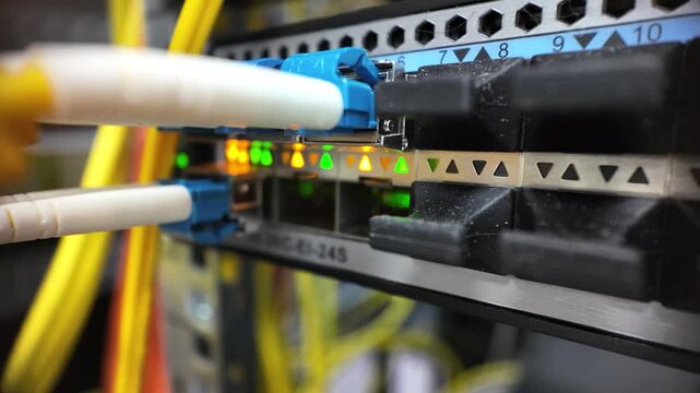 Static Close-up of Fiber Optic Patch Panel Connections in Data Center