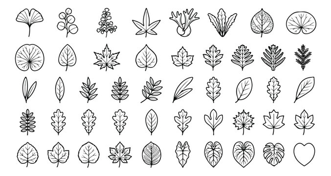 Minimalist leaf line icons set, 45 botanical vector elements, black outline foliage symbols for eco branding and nature web design