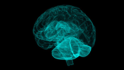 Digital brain structure line hologram science scan creativity virtual Front or back view © JOJO.FN&CO.COM