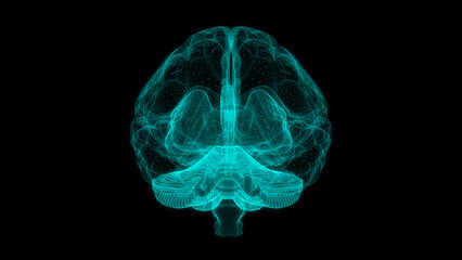 Digital brain structure line hologram science scan creativity virtual Front or back view © JOJO.FN&CO.COM