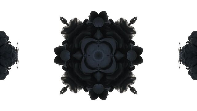 Black Ink Mandala Rorschach Motion Background. Black ink spreads into a mirrored mandala-like inkblot on white, forming a dark hypnotic motion background for psychology, mystery, trance visuals and