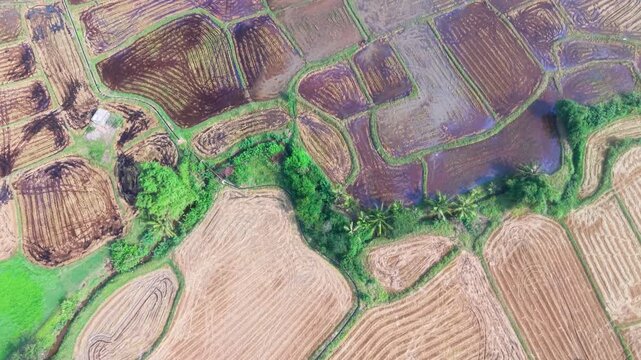 Enjoy views of Dam Nai Wind Farm in Ninh Thuan, Vietnam, capturing farms and fields in the area. The wind turbines stand tall in the background during sunny weather.