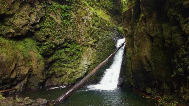 An aerial drone shot of Salto do Cagarrao waterfall cascading into a pool inside a rocky gorge with a fallen tree trunk in front of the stream in image d0361a jpg on Sao Miguel Island Azores