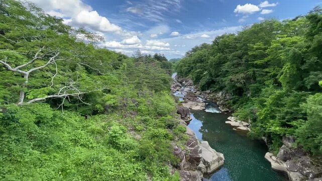 岩手県厳美渓6月：森林と渓流 2024/6/11