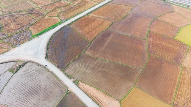Discover the beauty of Dam Nai Wind Farm in Ninh Thuan, Vietnam. Watch the large wind turbines spin as they operate above the fields under a clear sky.