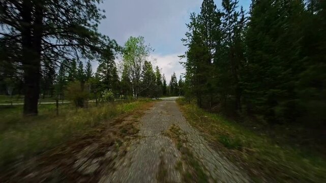 First-person view drone flies low and fast along a narrow dirt and gravel path bordered by a rustic wire fence on the left and surrounded by dense evergreen pine trees under an overcast evening sky ap