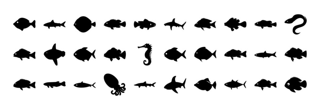 Black and white fish vector icons set - A stylish collection of black and white fish icons in various shapes and orientations, perfect for web design, presentations, and infographics