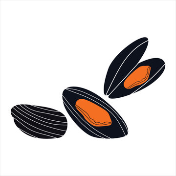 Mussels Flat Illustration, Open Mussel Shell Seafood Icon, Fresh Marine Food Clipart