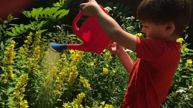 Summer vibes. Child watering flowerbed with yellow flowering plants in summer garden.
