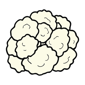 Fresh organic cauliflower vegetable isolated on white background healthy farm produce vector illustration