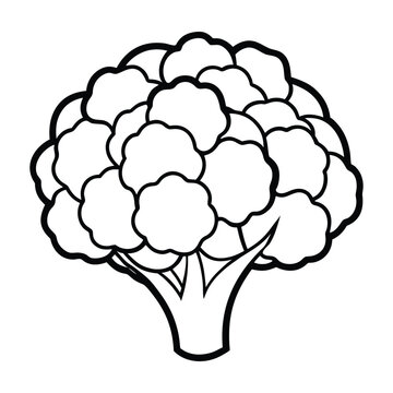 Farm fresh cauliflower vegetable outline vector icon for organic market branding and agriculture themed designs