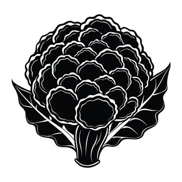 Minimal cauliflower vegetable silhouette isolated vector design for grocery logo packaging and healthy lifestyle concept