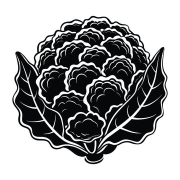 Black cauliflower silhouette icon with organic fresh vegetable shape isolated minimal vector graphic design