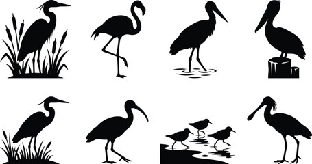 Obraz premium Black silhouette collection of wading birds including heron flamingo pelican and shorebirds on white background