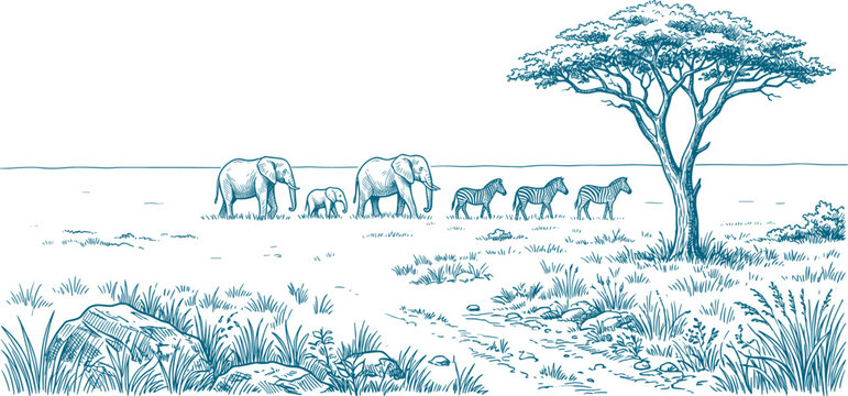 African savanna landscape line drawing showing elephants and zebras walking near acacia tree