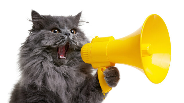 Fluffy grey cat holding a bright yellow megaphone, isolated on transparent background