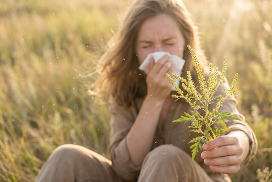 woman holding tissuer in grassy field, seasonal allergies. summer photo