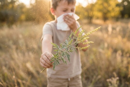 child blowing nose with tissue in outdoor field having seasonal allergies