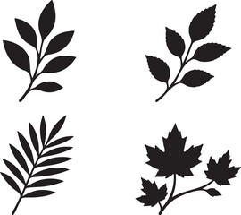 Obraz premium leaf silhouette collection autumn foliage botanical branch nature elements isolated black vector illustration