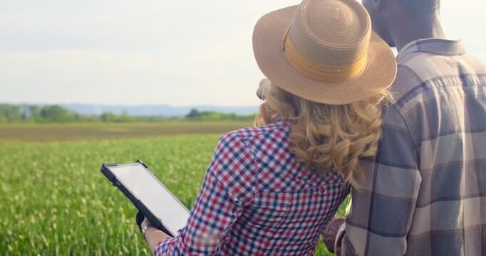 Male and female farmers standing in green wheat field examining crop while using tablet during the day.
