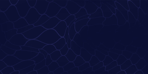 Abstract net background blue for sports, Mesh texture for fishing nets. Seamless pattern for sportswear or soccer goal, volleyball net, basketball hoop, hockey, athletics. Eps10 © Sung