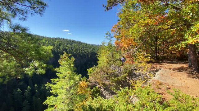A man stands at a cliffside viewpoint overlooking Barron Canyon in Algonquin Park during autumn, holding a phone while viewing the landscape.