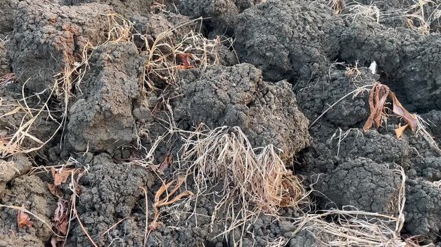 Arable Farmland Ground Preparation for Cultivation