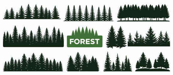 Coniferous forest silhouette featuring pine, fir, spruce and christmas trees, evergreen woodland landscape, mountain nature, botanical background. © Raxzen