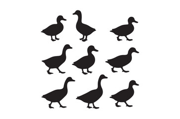 Fototapeta premium Duck silhouettes on a white background simple vector illustration