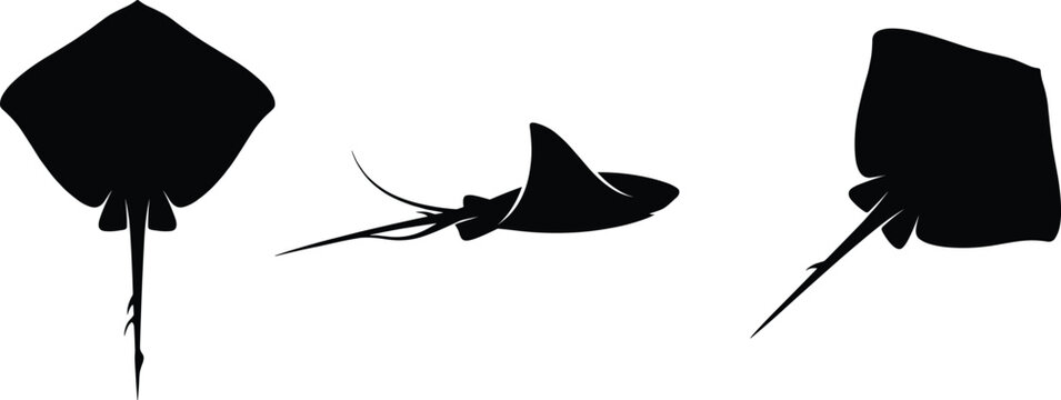 Minimalist stingray silhouette vector illustrations showing marine animal shapes from different angles in decorative ocean wildlife design