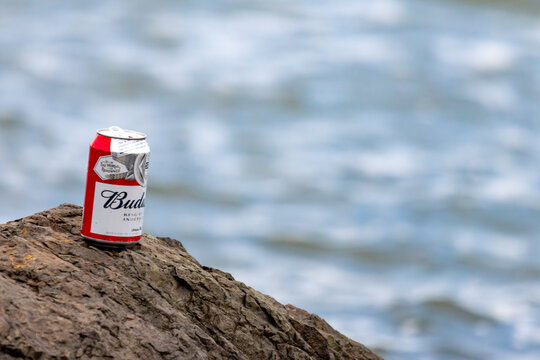 Quebec, Canada, 20 June 2026 : An empty Budweiser beer can stands on a rock overlooking a body of water.
