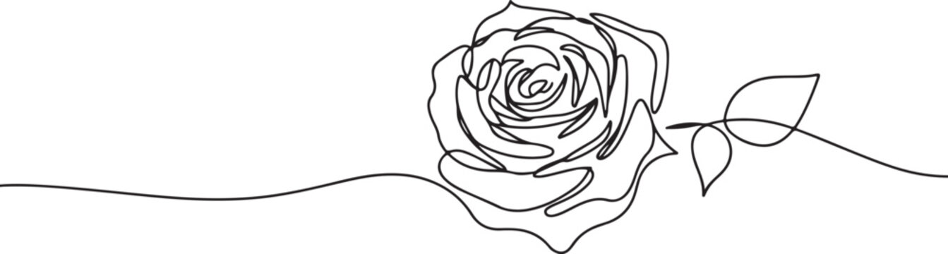 Single line drawing of a rose with leaves flower continuous line