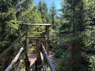 Lotharpfad adventure trail in the Black Forest National Park or Lothar educational path on the Black Forest High Road, Germany - Erlebnispfad Lotharpfad im Nationalpark Schwarzwald, Deutschland © Mario