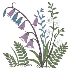 Magical Woodland Floral Set Editable Vector Illustration © SUMON