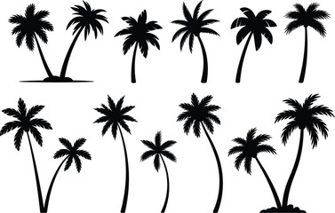 Fototapeta premium Palm tree silhouettes showcase a collection of tropical foliage in a black and white graphic style trees coconut palms leafy shapes plant