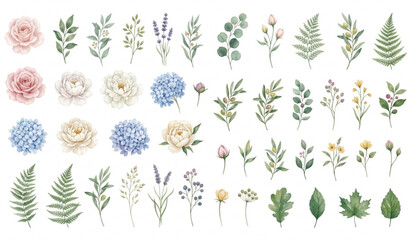 Watercolor botanical vector pack with floral leaves herbs and blooming spring elements © MstLima