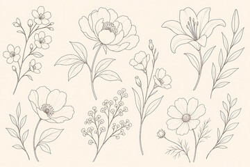 Fototapeta premium Minimalist Floral Outlines Collection Featuring Hand Drawn Botanical Sketches on Beige