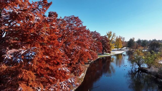 Ann Morrison Park Aerial Drone Shot Featuring Snowy Autumn Landscape with Vibrant Red Foliage and Snow Covered Ground Near a Calm Pond Against a Mountain Horizon in 4k Video Resolution