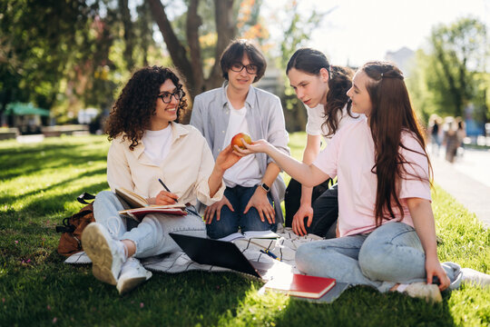 Group of four young adults engaged in discussion while sitting on grass in a park, with notebooks and a laptop on a blanket, enjoying a sunny day outdoors