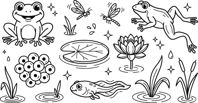 Frog life cycle pond nature vector line art set featuring frogs toad tadpole eggs lily pad lotus dragonfly.